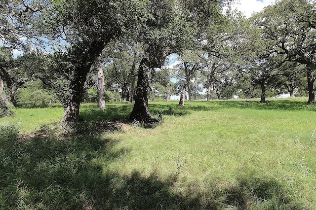 1801 Fm 1383, Schulenburg TX, 78956 land for sale