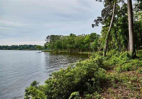 3162 Shadow Pine Dr, Larue TX, 75770 land for sale