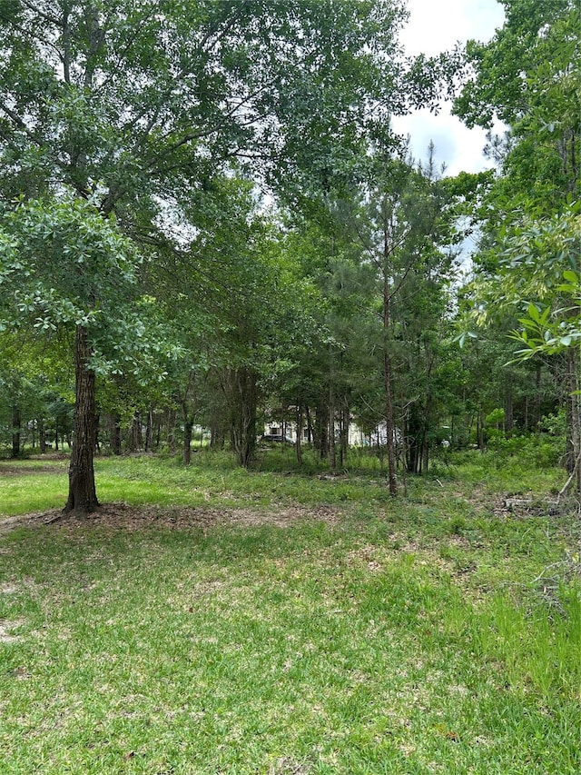 Listing photo 2 for 1128 Timberglen Dr, Livingston TX 77351