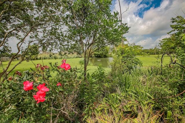 view of yard with a water view