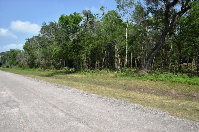 0000 County Road 802, Brazoria TX, 77422 land for sale