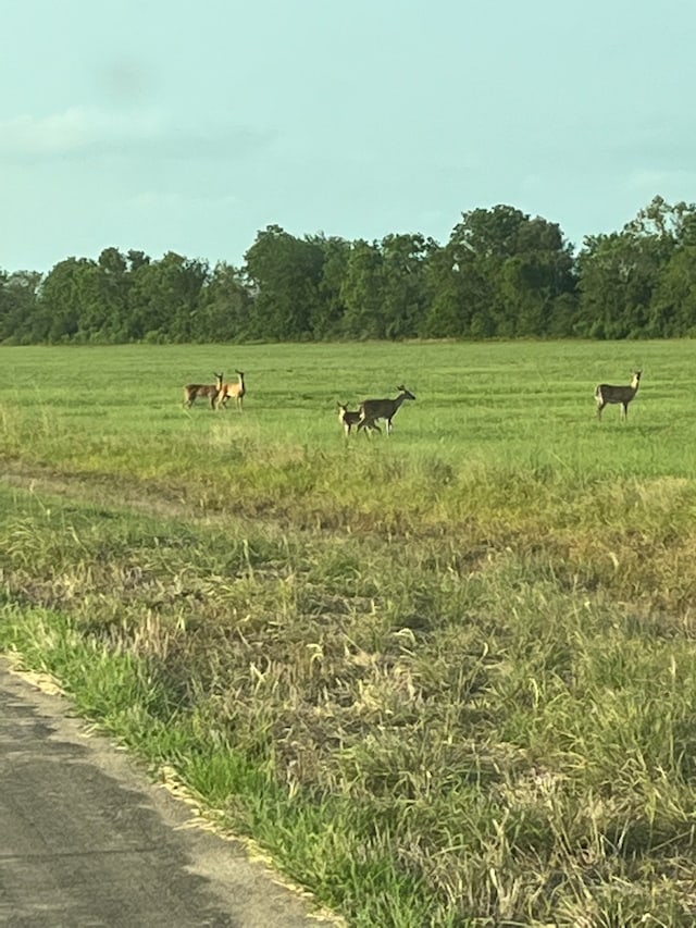 178 Brahman Trl, Angleton TX, 77515 land for sale