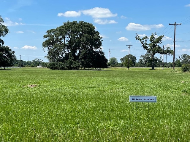 Listing photo 3 for 301 Cattle Drive Trl, Angleton TX 77515