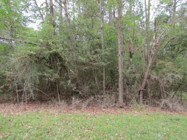 Listing photo 2 for LOT13 Moose Dr, Onalaska TX 77360