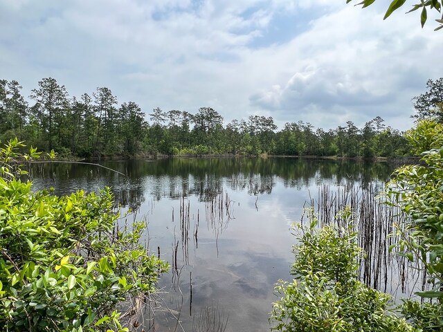 000 Fm 2937, Silsbee, TX 77656 - photo 2