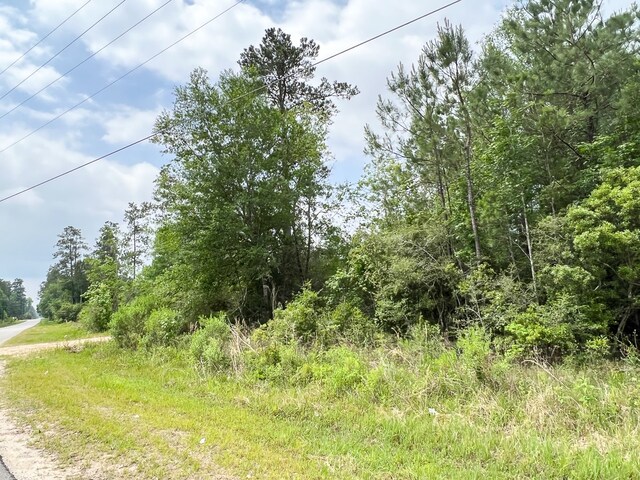 000 Fm 2937, Silsbee, TX 77656 - photo 5