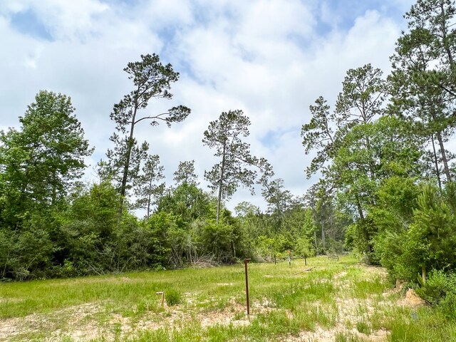000 Fm 2937, Silsbee, TX 77656 - photo 6