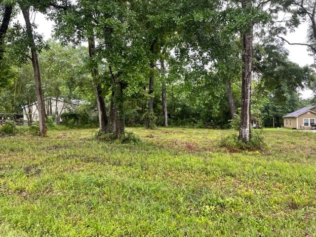 5682 N US Highway 59, Livingston TX, 77351 land for sale