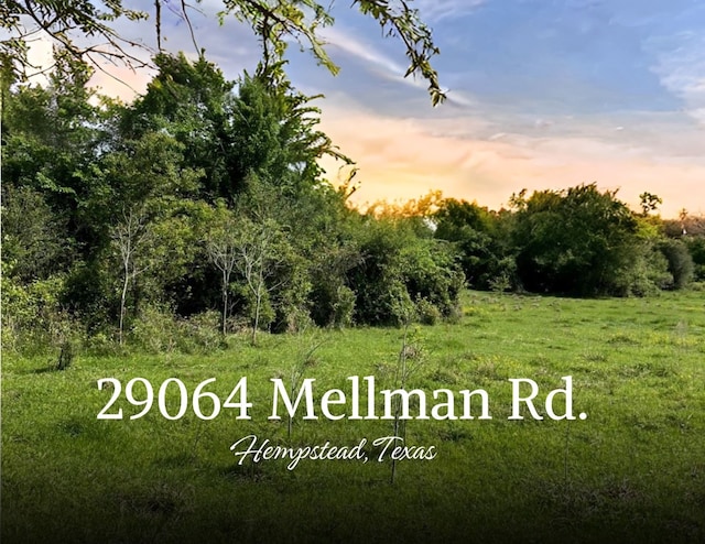 29064 Mellman Rd, Hempstead TX, 77445 land for sale