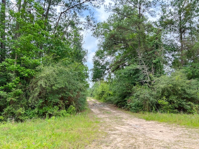 06 Old Acro Rd, Silsbee, TX 77656 - photo 1