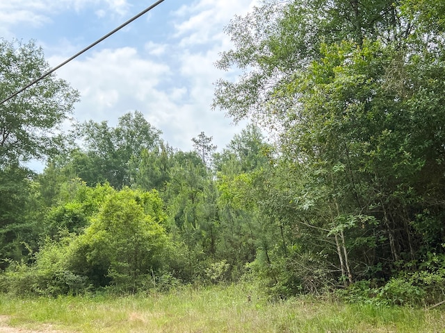 06 Old Acro Rd, Silsbee, TX 77656 - photo 2