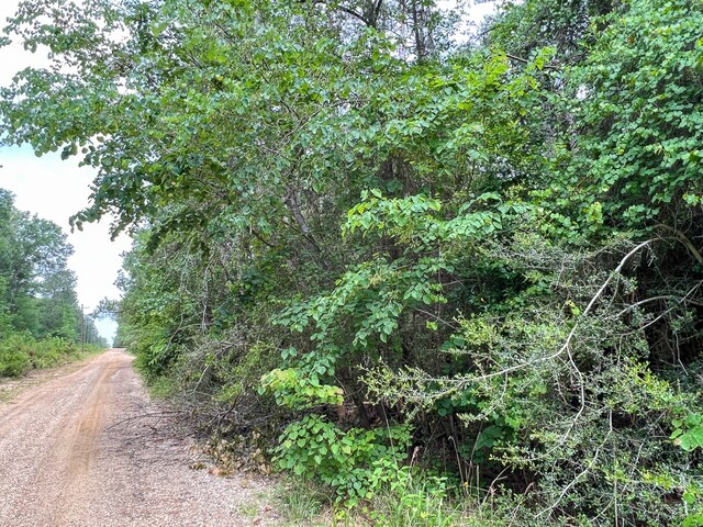 06 Old Acro Rd, Silsbee, TX 77656 - photo 4