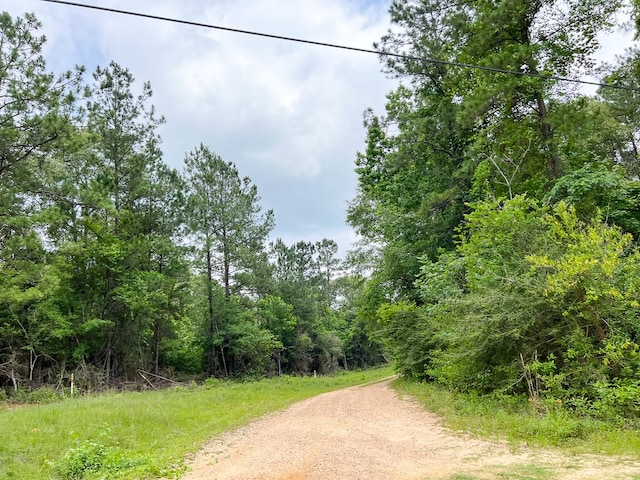06 Old Acro Rd, Silsbee, TX 77656 - photo 5