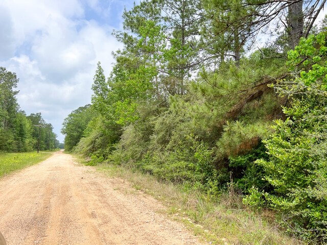 06 Old Acro Rd, Silsbee, TX 77656 - photo 6