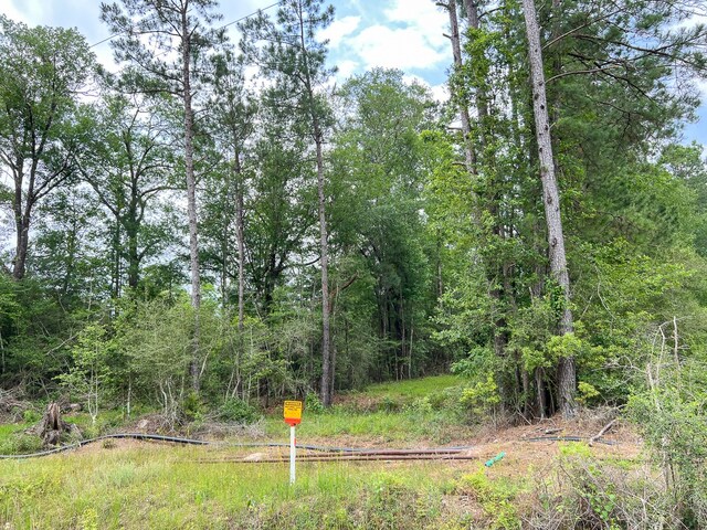 06 Old Acro Rd, Silsbee, TX 77656 - photo 7