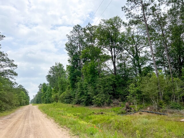 06 Old Acro Rd, Silsbee, TX 77656 - photo 8