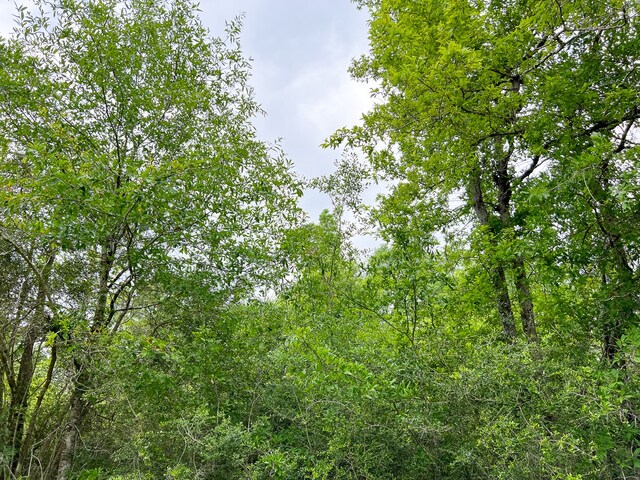 00 Cravens Camp Rd, Silsbee, TX 77656 - photo 1