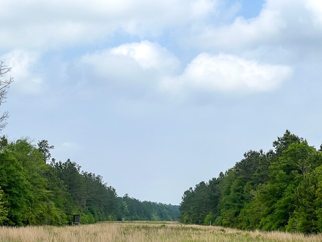 00 Cravens Camp Rd, Silsbee, TX 77656 - photo 3