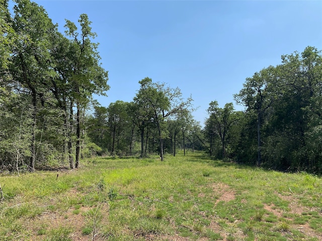 Listing photo 2 for TBD High Crossing Rd Unit 8, Smithville TX 78957