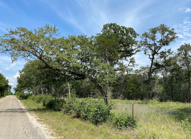 Listing photo 3 for TBD High Crossing Rd Unit 8, Smithville TX 78957