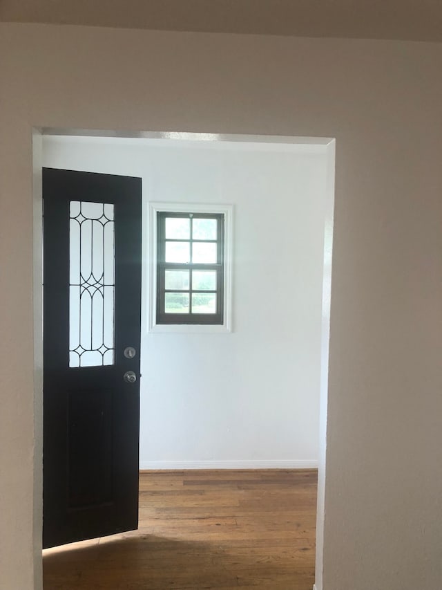 entrance foyer with dark hardwood / wood-style flooring