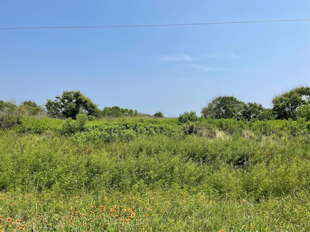 672 Hwy 87, Gilchrist, TX 77617 - photo 5