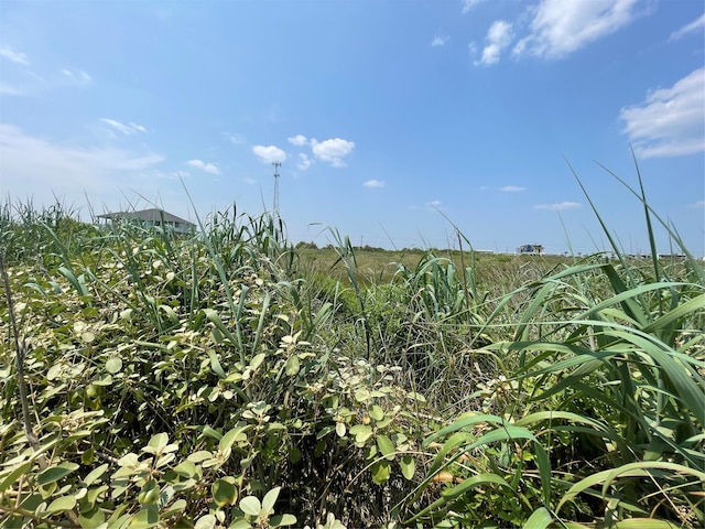 672 Hwy 87, Gilchrist, TX 77617 - photo 14
