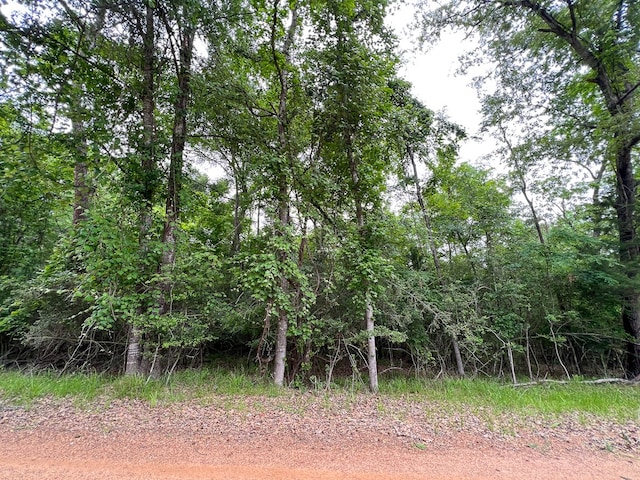 Listing photo 3 for 0 Forest Rd, Crockett TX 75835