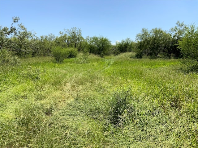 14135 County Road 1144, Sinton TX, 78387 land for sale