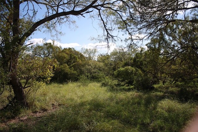 Listing photo 2 for TBD County Rd 1144, Sinton TX 78387