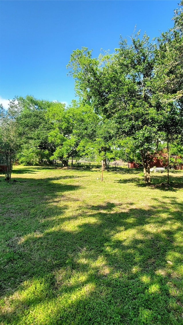 Listing photo 3 for 13806 Bohemian Hall Rd, Crosby TX 77532