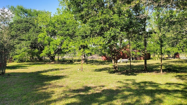 13806 Bohemian Hall Rd, Crosby TX, 77532 land for sale