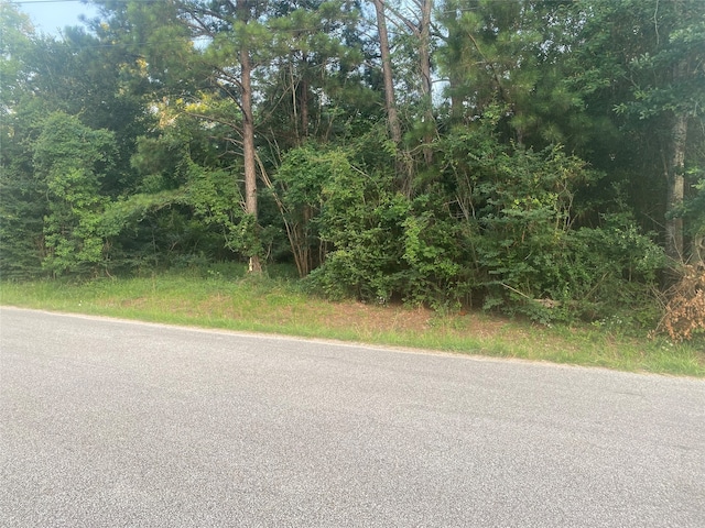 0TBD Lizzie Ln, Tomball TX, 77375 land for sale