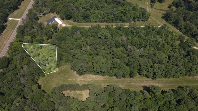 Listing photo 2 for TBD Tammany Ln, Trinity TX 75862