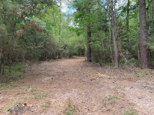 Listing photo 2 for TBD Barretts Landing Road, Trinity TX 75862