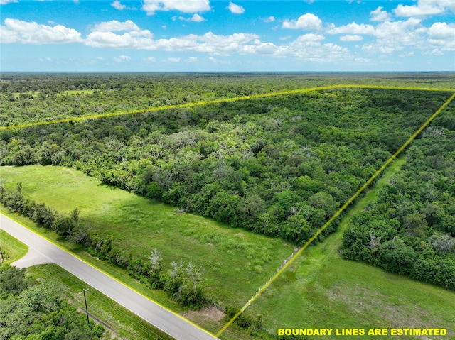 Listing photo 2 for 0 County Road 461, Brazoria TX 77422