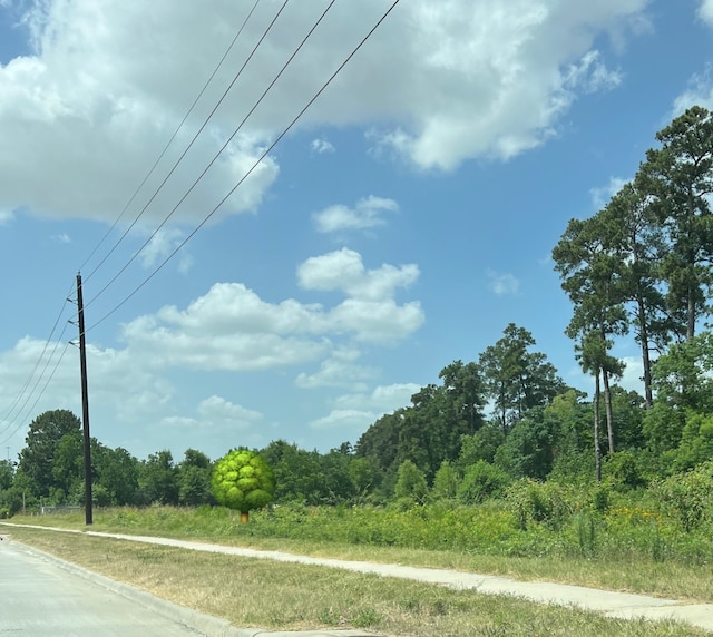 0 Sh 249, Tomball TX, 77375 land for sale