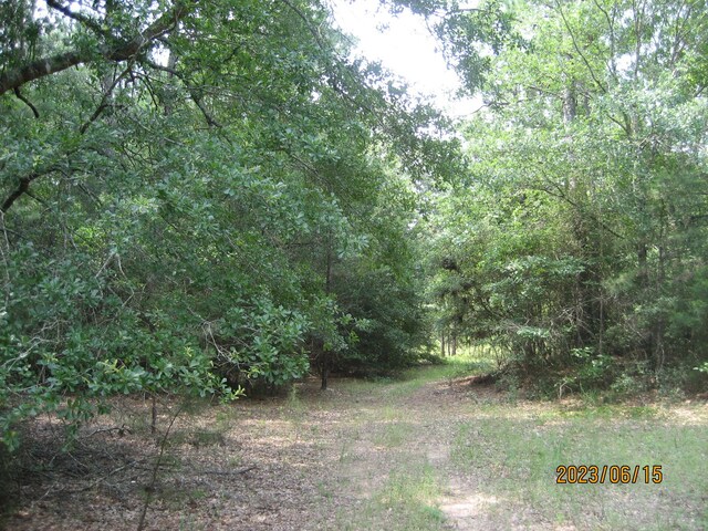 30081 Round Up Dr, Waller, TX 77484 - photo 13