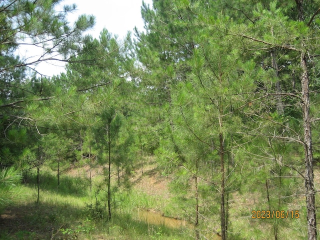 30081 Round Up Dr, Waller, TX 77484 - photo 14