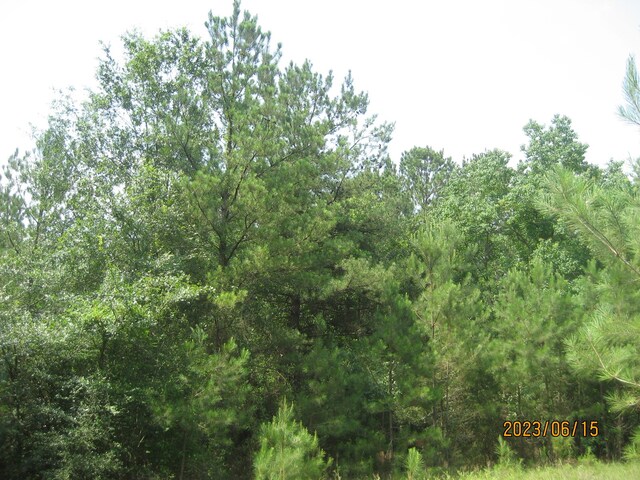 30081 Round Up Dr, Waller, TX 77484 - photo 15
