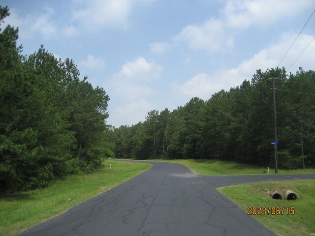 30081 Round Up Dr, Waller, TX 77484 - photo 19