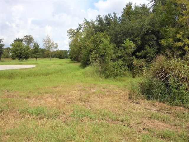 Listing photo 3 for 0 Fm 517, League City TX 77511