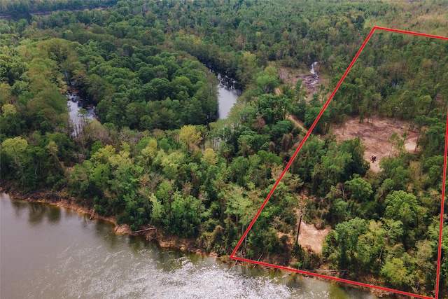 000 County Rd 2082, Burkeville, TX 75932 - photo 4