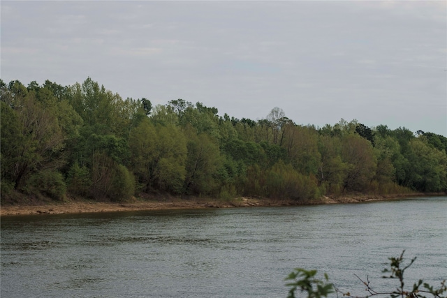 000 County Rd 2082, Burkeville, TX 75932 - photo 7