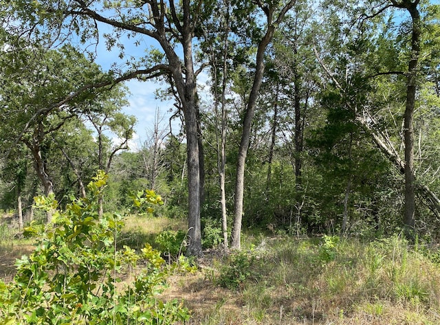 TBD High Crossing Rd Unit 9, Smithville TX, 78957 land for sale