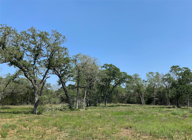 Listing photo 2 for TBD High Crossing Rd Unit 9, Smithville TX 78957