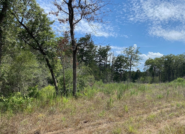 Listing photo 3 for TBD High Crossing Rd Unit 9, Smithville TX 78957