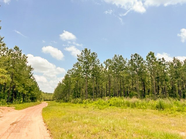 0000 County Road 1425, Warren, TX 75979