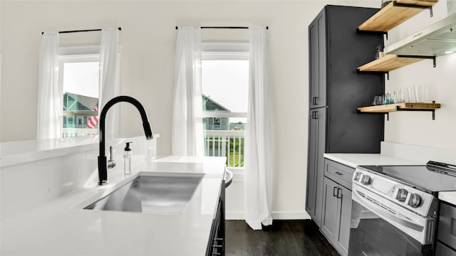 kitchen featuring dark hardwood / wood-style flooring, ventilation hood, sink, and electric range