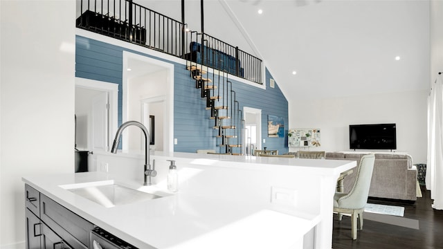 kitchen featuring dark hardwood / wood-style flooring, sink, and high vaulted ceiling